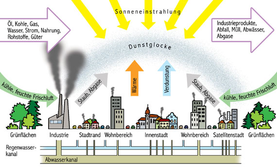 Oekosystemstadt