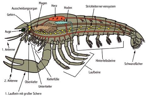 bio02c