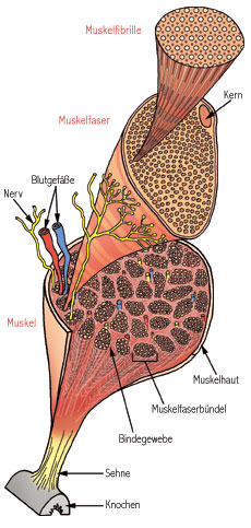bio04a