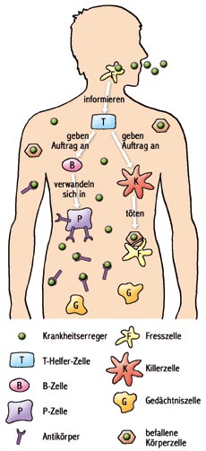bio04e